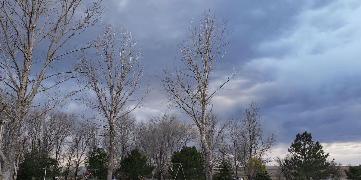 Severe Mid-March Storm Disrupts U.S. Travel and Business Operations