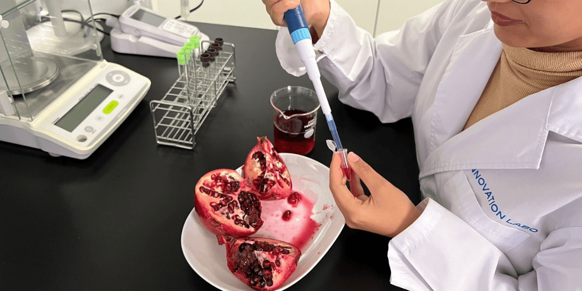 Scientist in lab coat extracting fermented pomegranate sample for analysis at INNOVATION LABO.