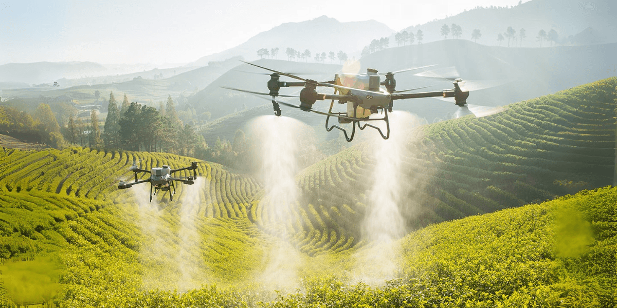 Drones fly over lush fields, spraying pesticides, representing the integration of UAV technology and automation to enhance agricultural productivity