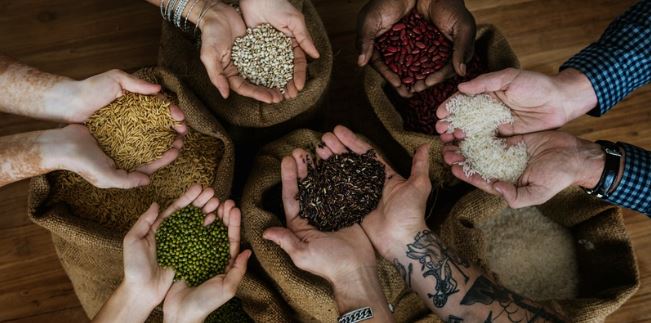 Grains