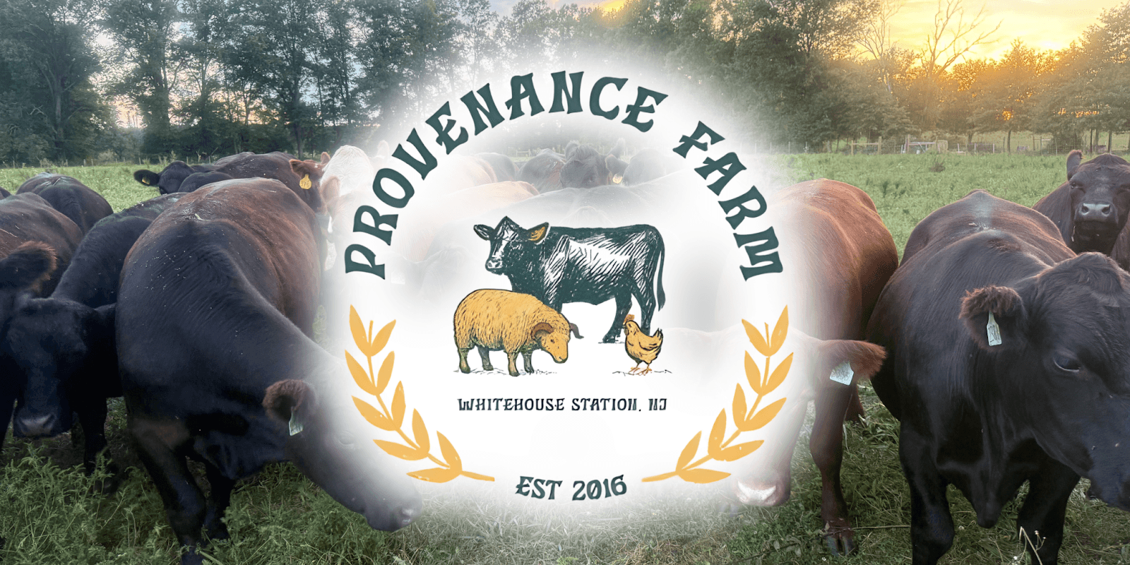 "Martha Kimmerly, founder of Provenance Farm, merging culinary craftsmanship with regenerative farming to produce ethically raised meats."