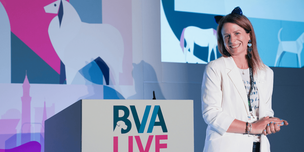Lauren Anders Brown: Revolutionizing Pet Travel with Technology